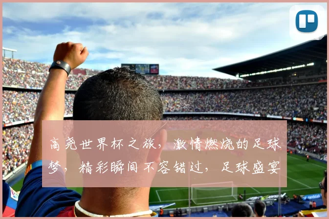 高尧世界杯之旅，激情燃烧的足球梦，精彩瞬间不容错过，足球盛宴等你来观