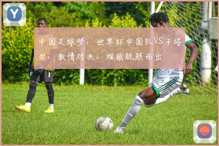 中国足球梦，世界杯中国队VS卡塔尔，激情对决，谁能脱颖而出